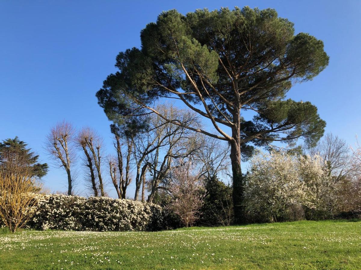 La Suite A Chateau Franc Daut Saint-Magne-de-Castillon Εξωτερικό φωτογραφία