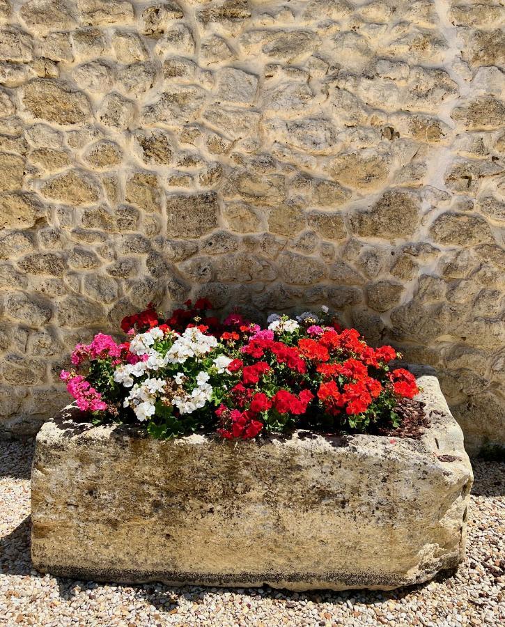 La Suite A Chateau Franc Daut Saint-Magne-de-Castillon Εξωτερικό φωτογραφία
