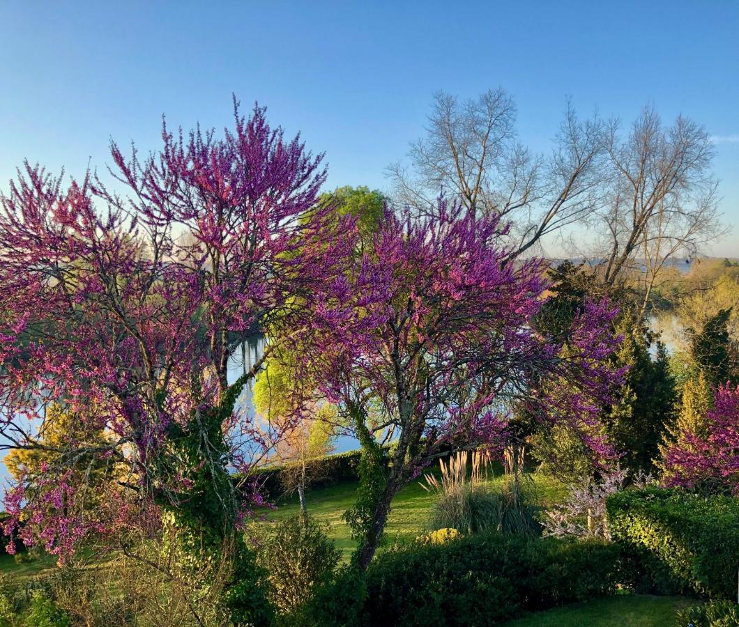 La Suite A Chateau Franc Daut Saint-Magne-de-Castillon Εξωτερικό φωτογραφία
